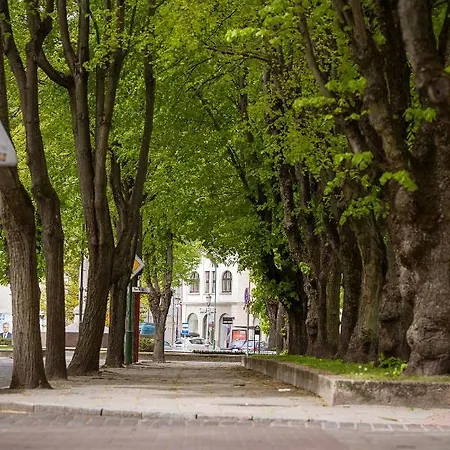 Dvieju Kambariu Butas Klaipedos Centre *