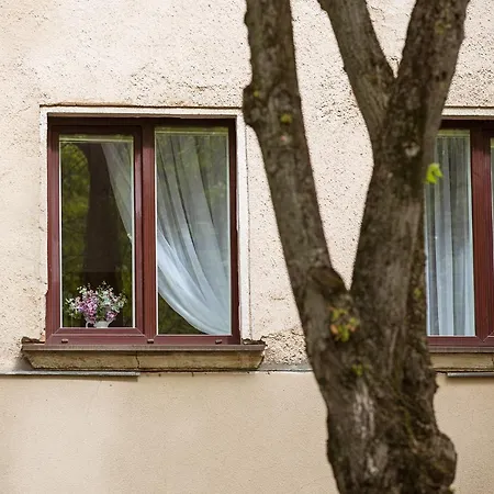Dvieju Kambariu Butas Klaipedos Centre Apartamento