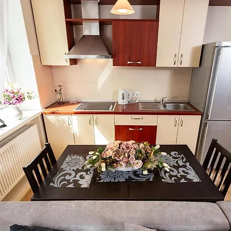 Dvieju Kambariu Butas Klaipedos Centre Apartamento