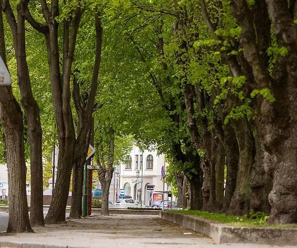 Dvieju Kambariu Butas Klaipedos Centre *