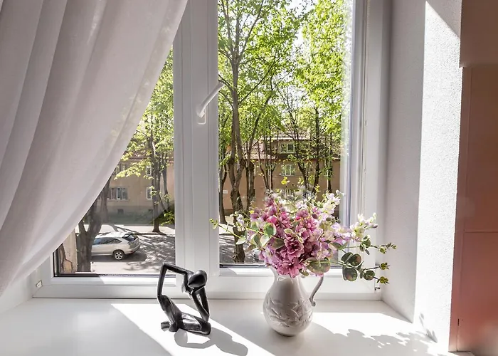 Apartmán Dvieju Kambariu Butas Klaipedos Centre Klaipėda